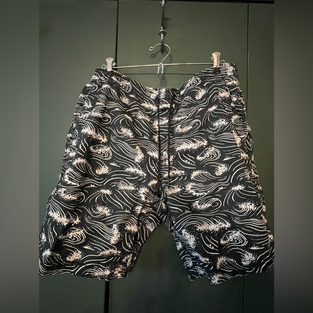 American Eagle Outfitters Swim Trunks